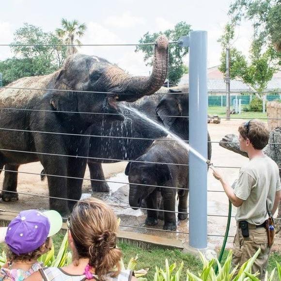 Meet your Posher, Aaron - Picture 1 of 1